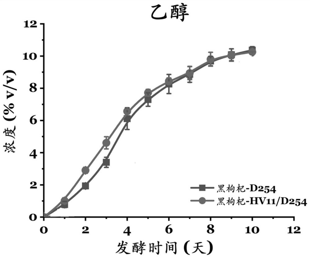 Lycium ruthenicum wine, preparation method thereof and compound wine