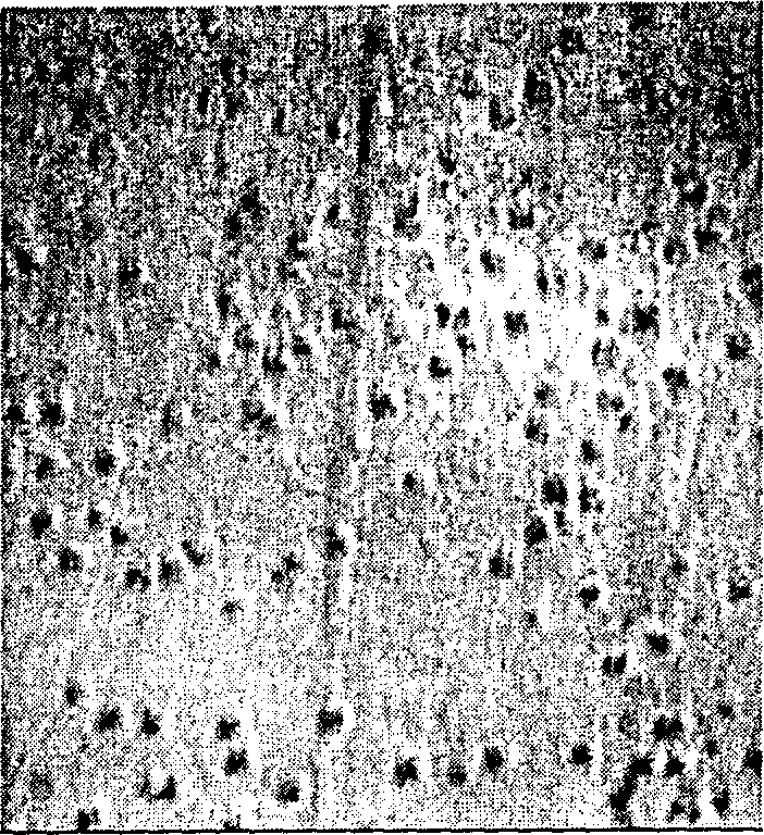 Vanadate for measuring dislocation density and etching process of doped monocrystal