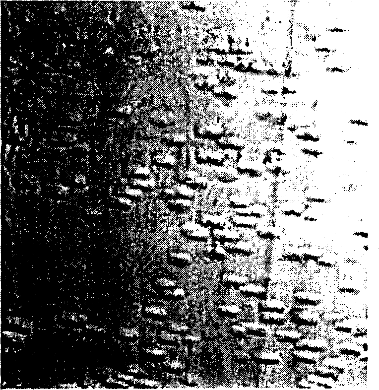 Vanadate for measuring dislocation density and etching process of doped monocrystal