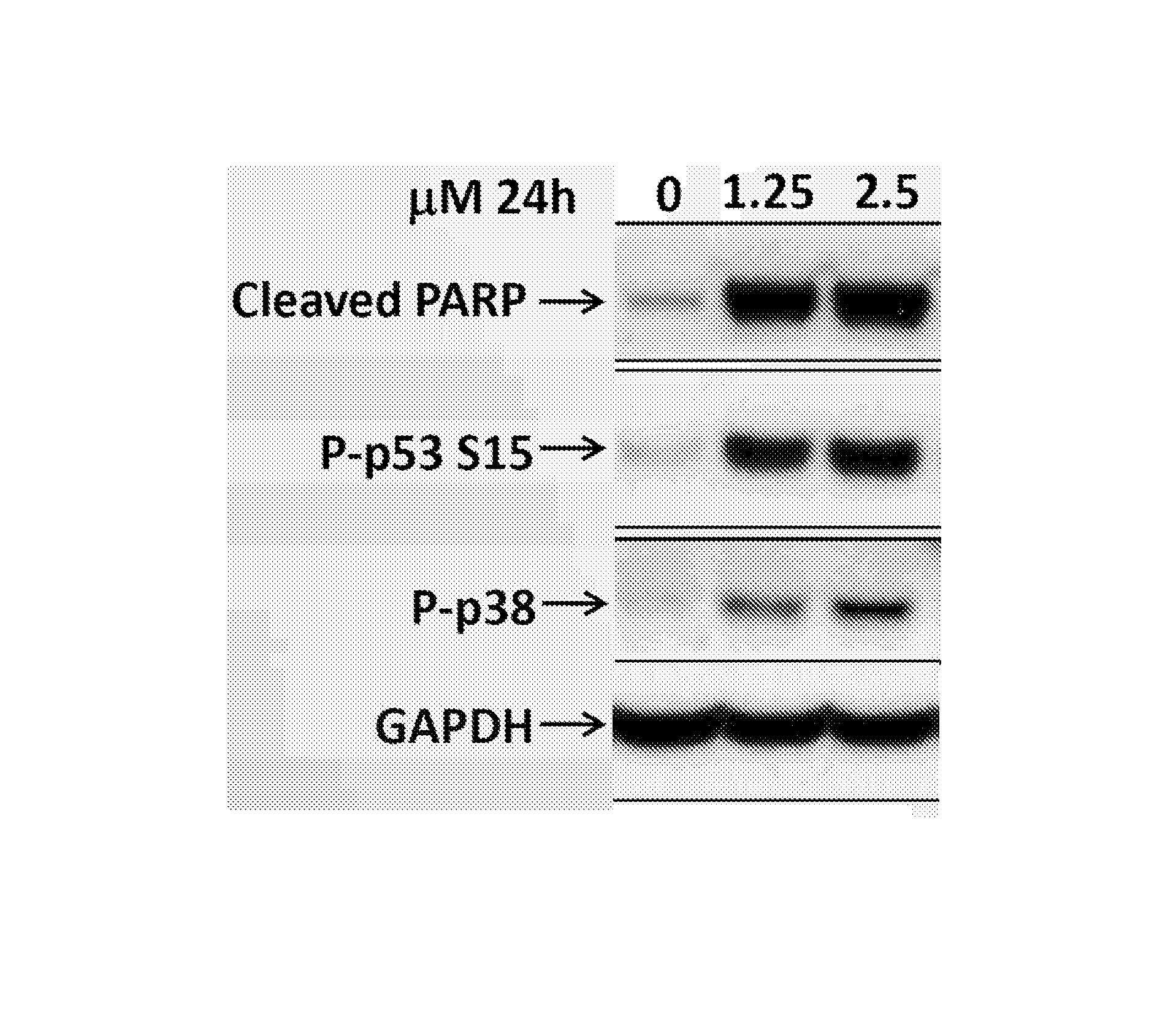 Fused heterocyclic compounds and their use