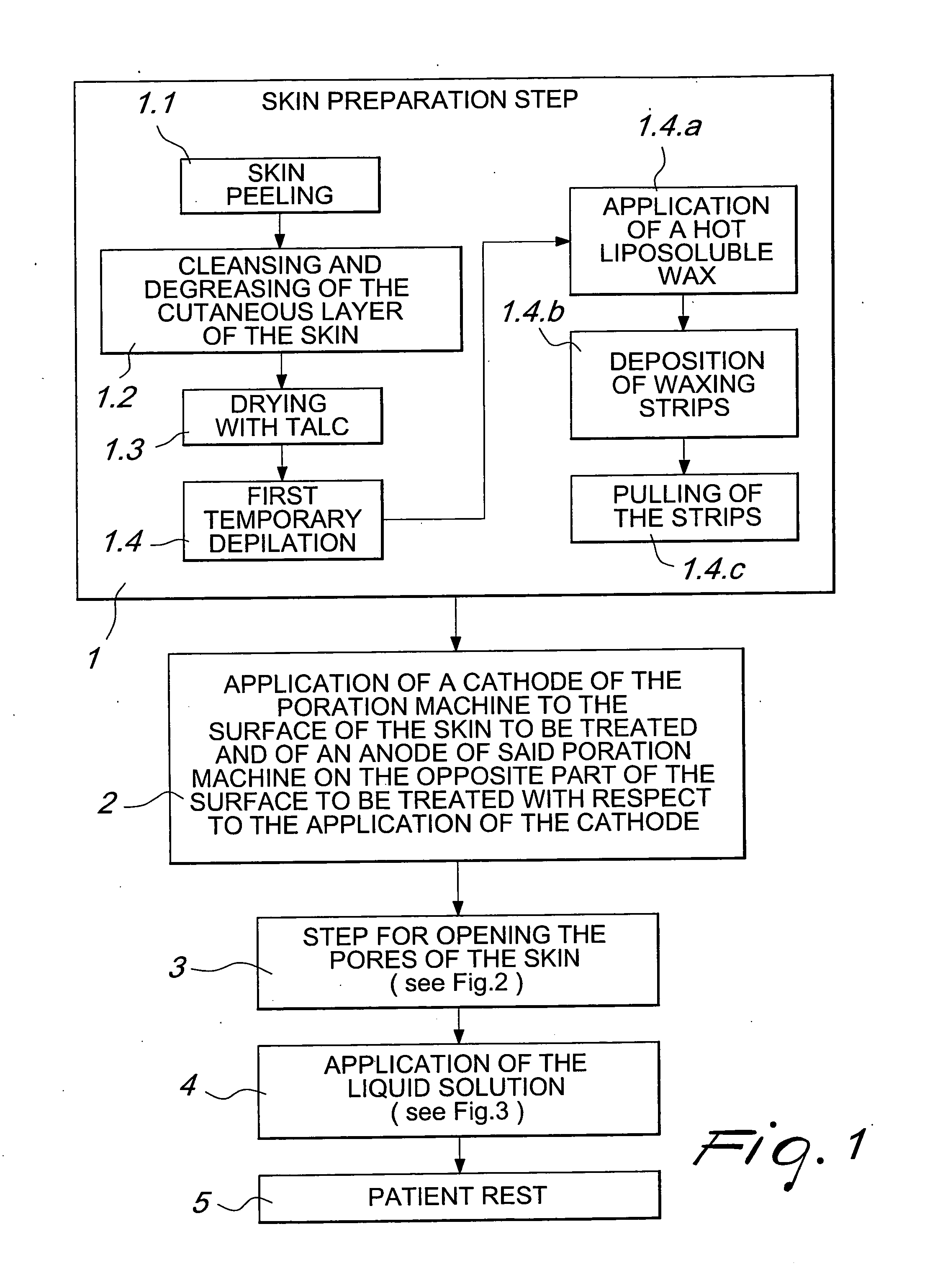 Process for permanent body epilation