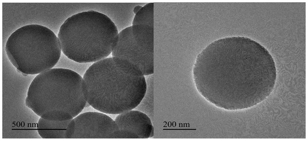 Microcystic toxin ratio fluorescence sensor constructed based on molecular imprinting technology