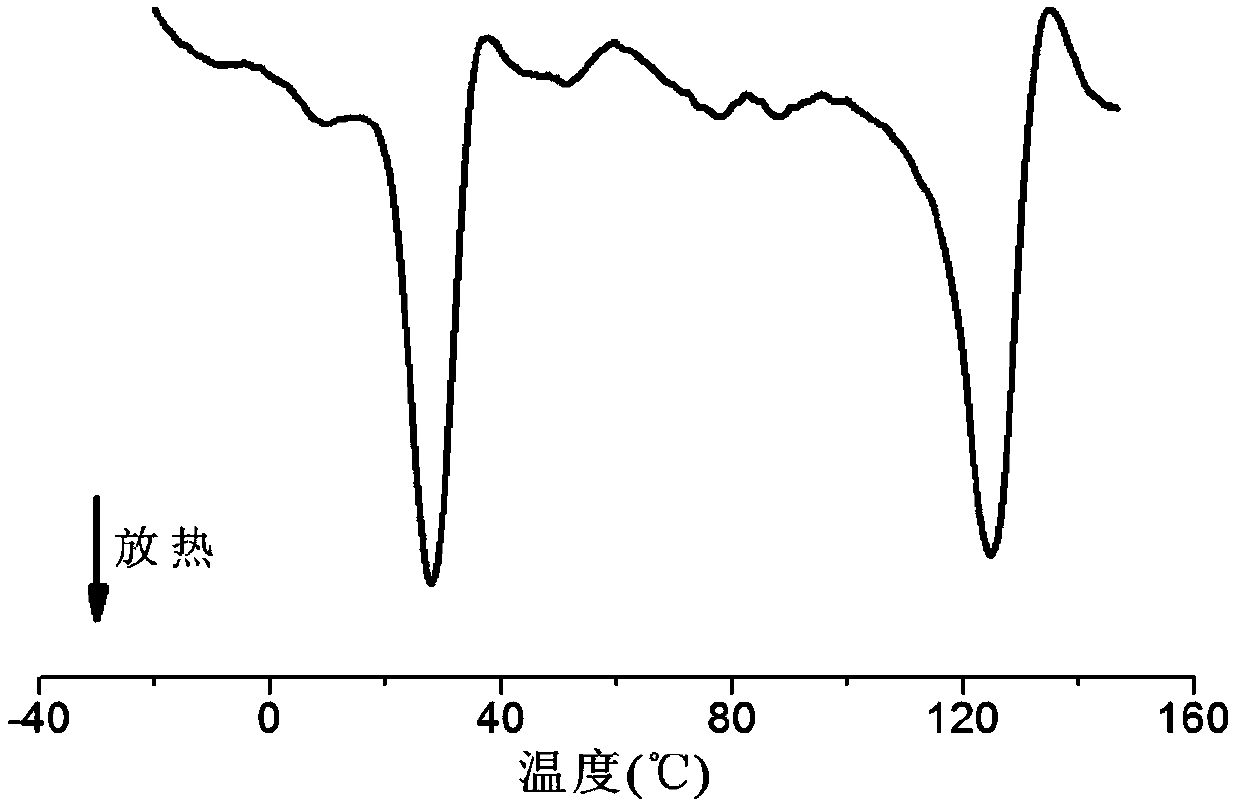 Electrode binding agent of novel lithium ion battery and preparation method of electrode binding agent