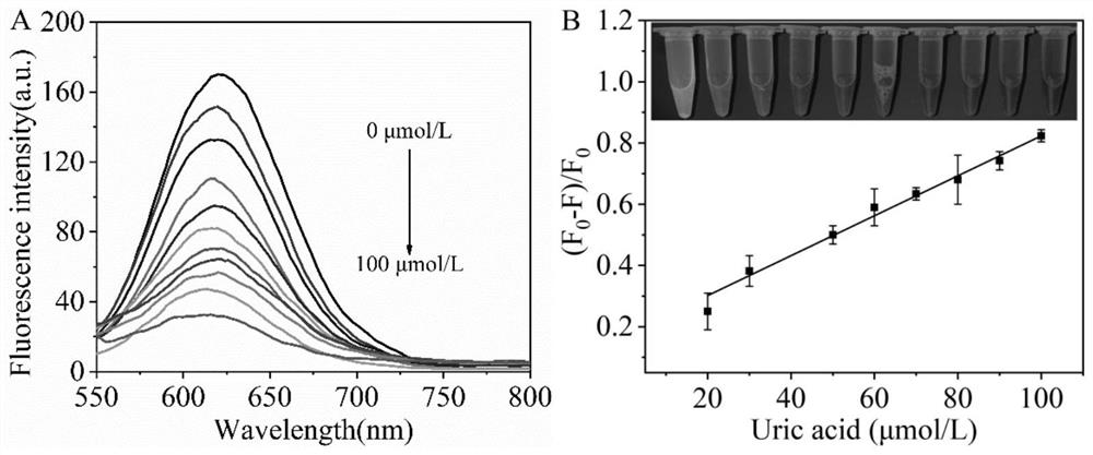 Preparation method of nanogold cluster and sensitization detection method of nanogold cluster in small biological molecules