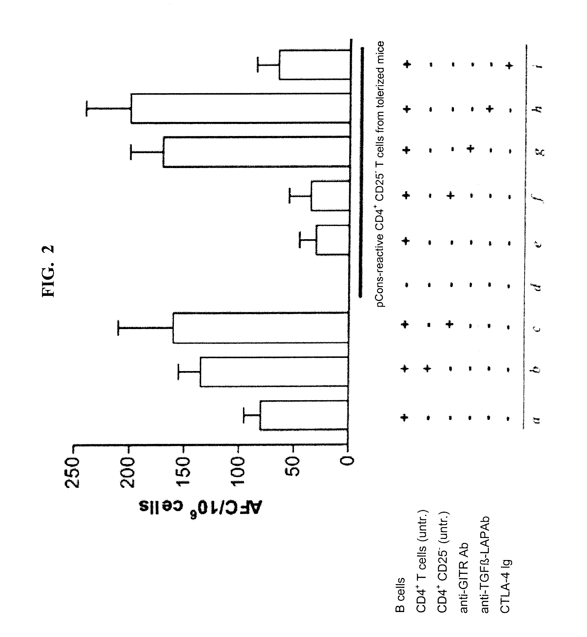 Peptide for induction of immune tolerance as treatment for systemic lupus erythematosus