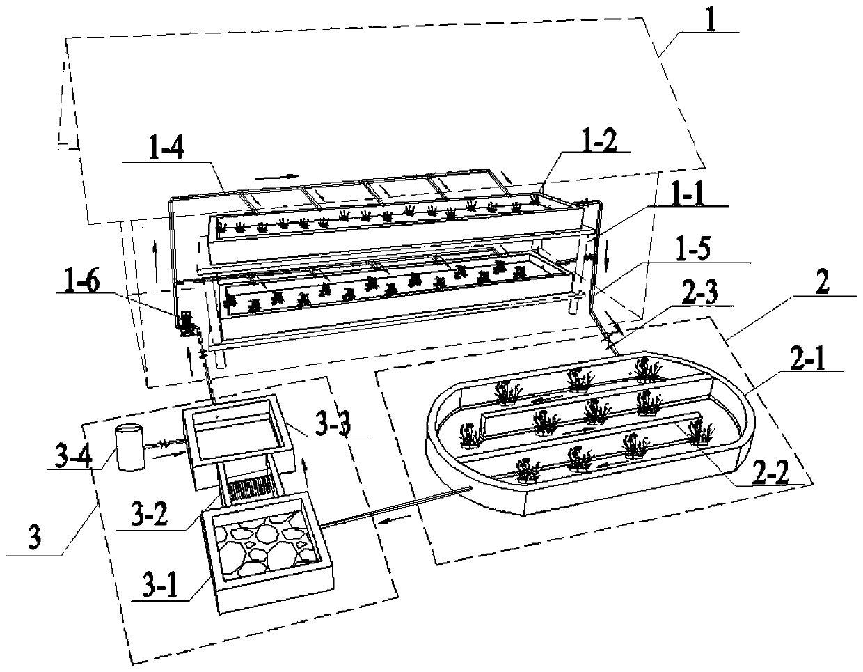 Submerged plant seedling cultivation system