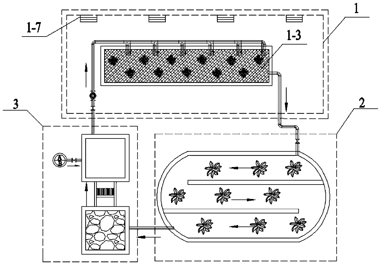 Submerged plant seedling cultivation system