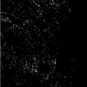 Preparation method of hydrophobic catalyst for hydrogen-water isotope exchange