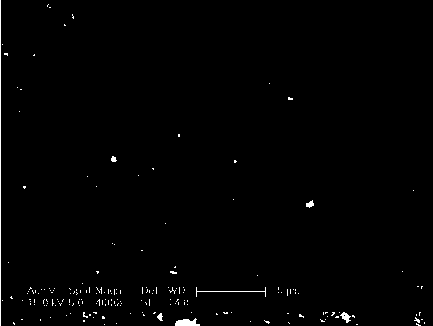 Preparation method of hydrophobic catalyst for hydrogen-water isotope exchange