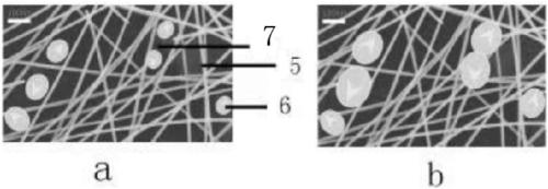 PDLC raw material and PDLC dimming glass production method