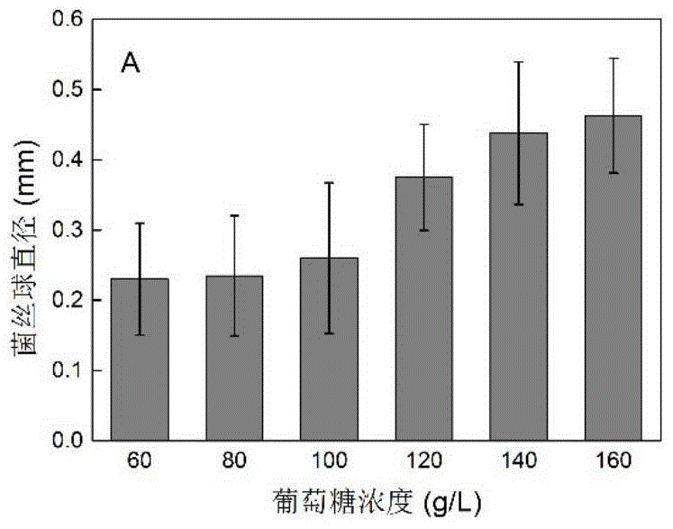 Method for increasing kojic acid yield of Aspergillus oryzae