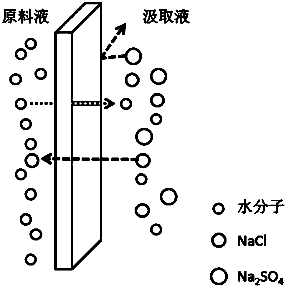 Compound forward osmosis membrane with separation function and preparation method thereof