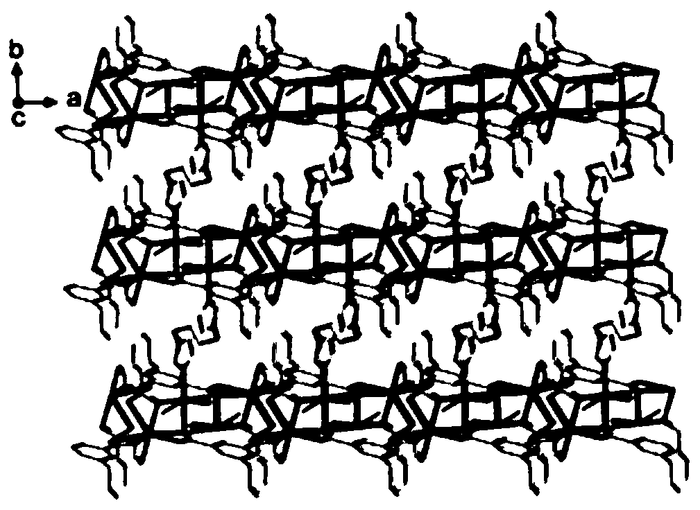 Polyacid-imidazole member containing cadmium-based fluorescent probe compound, preparation method therefor and application of polyacid-imidazole member containing cadmium-based fluorescent probe compound