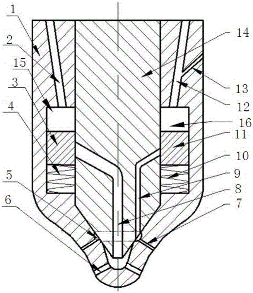 Nozzle capable of achieving dual fuel injection