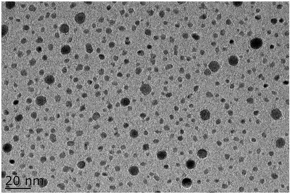 Amine/amino functionalized graphene quantum dot and preparation method thereof