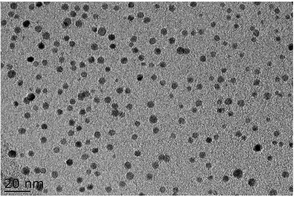 Amine/amino functionalized graphene quantum dot and preparation method thereof