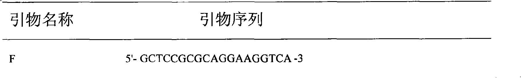 Method for detecting high-pathogenicity blue ear disease