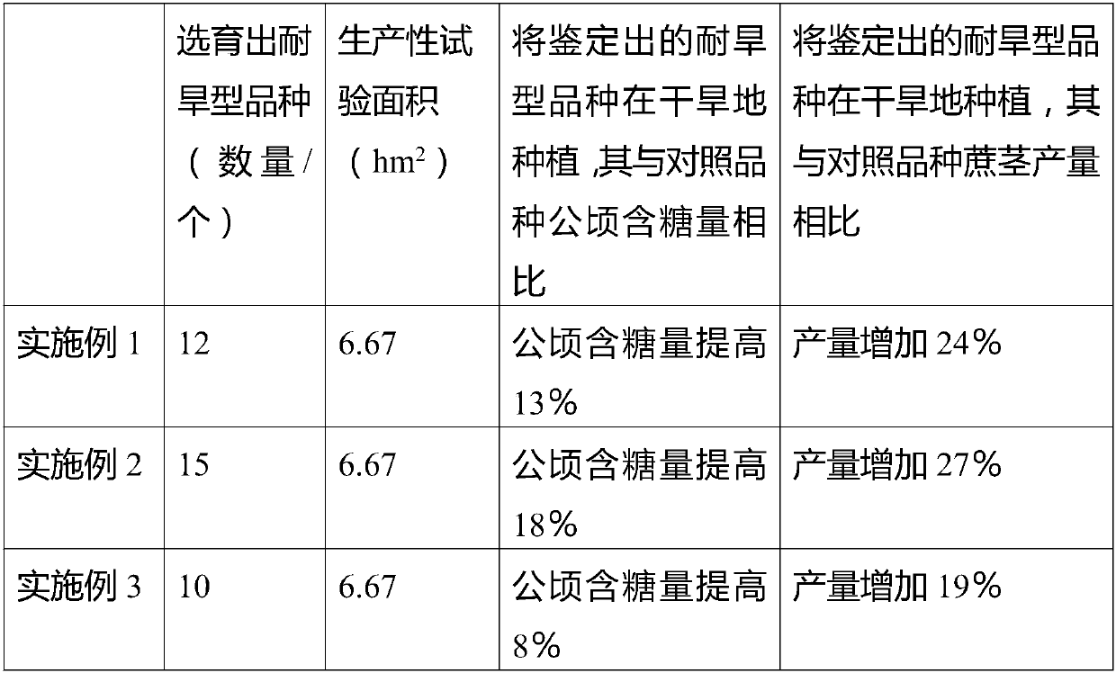 Method for simply identifying drought-enduring type varieties in sugarcane breeding process