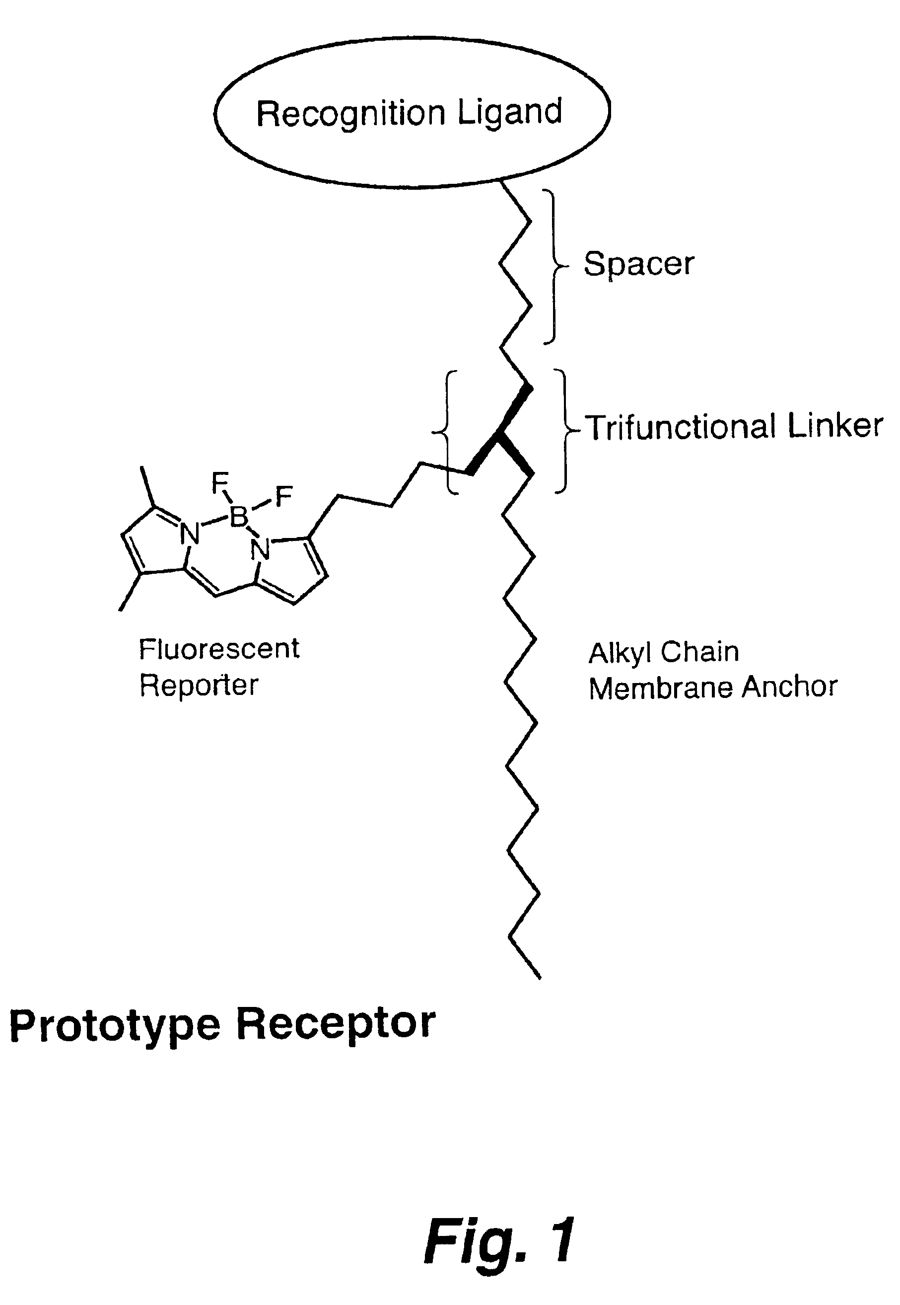 Influenza sensor