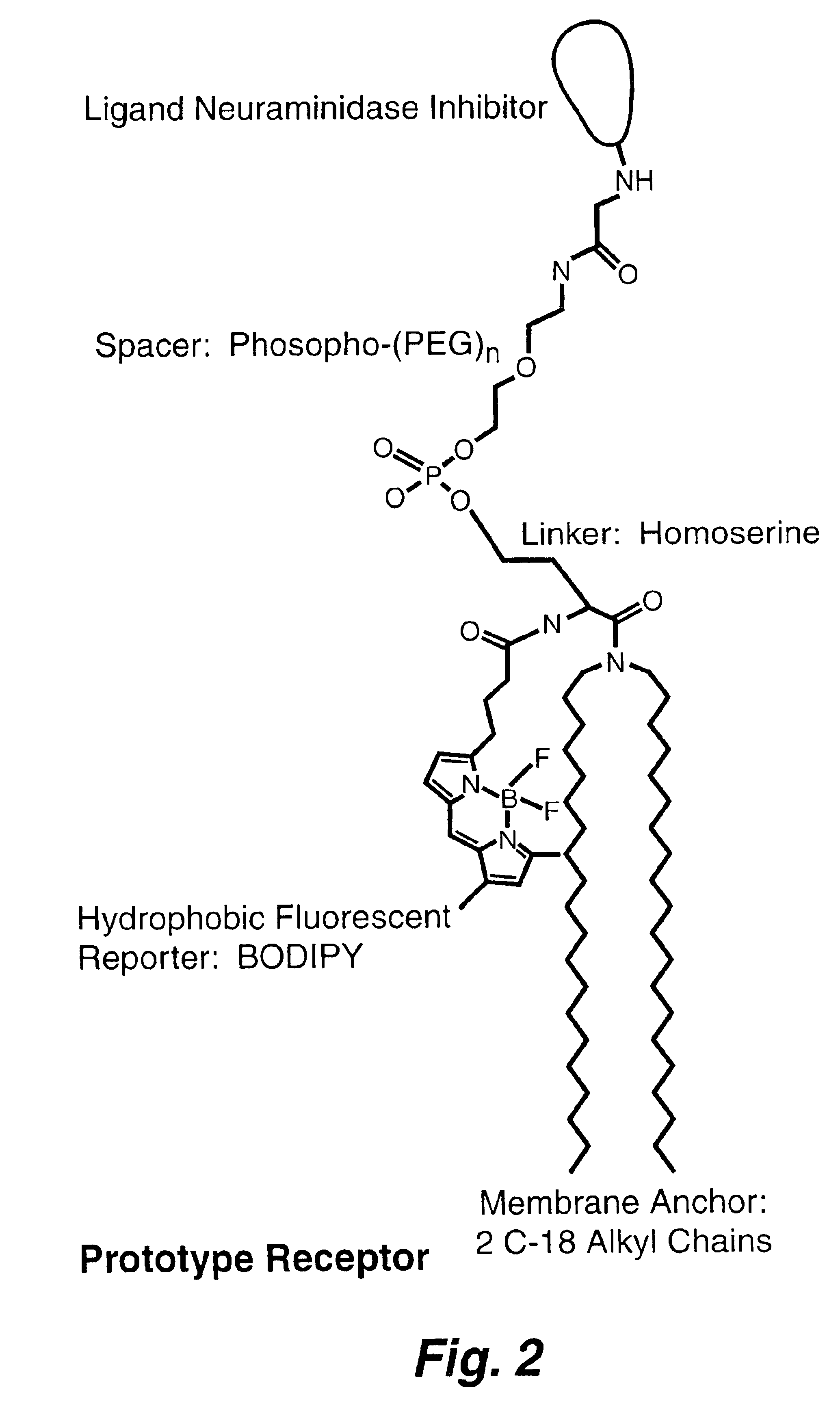 Influenza sensor