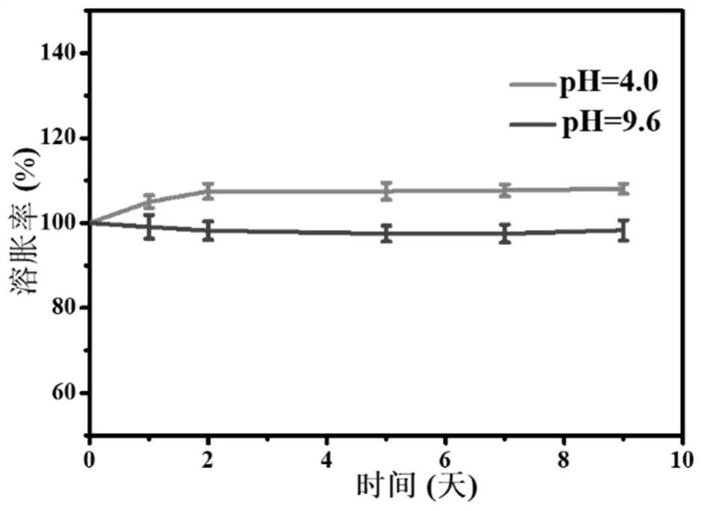 Cluster magnetic control micro robot imitating inner structure of magnetic drive bacteria and preparation method and application thereof