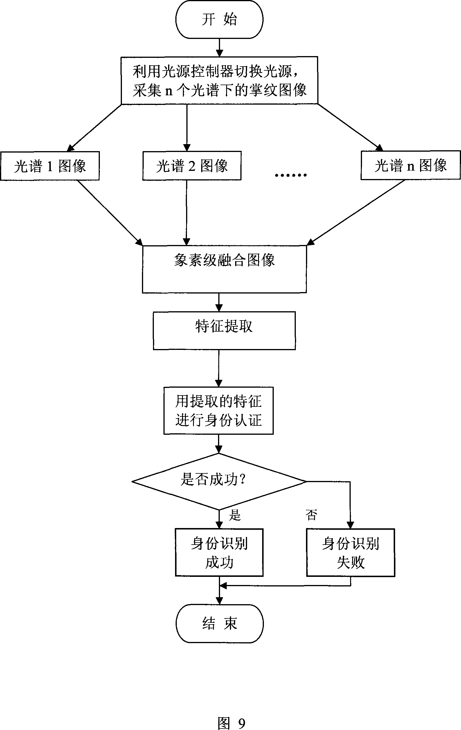 Multi-light spectrum palm print identity authentication method and its special-purpose collection instrument