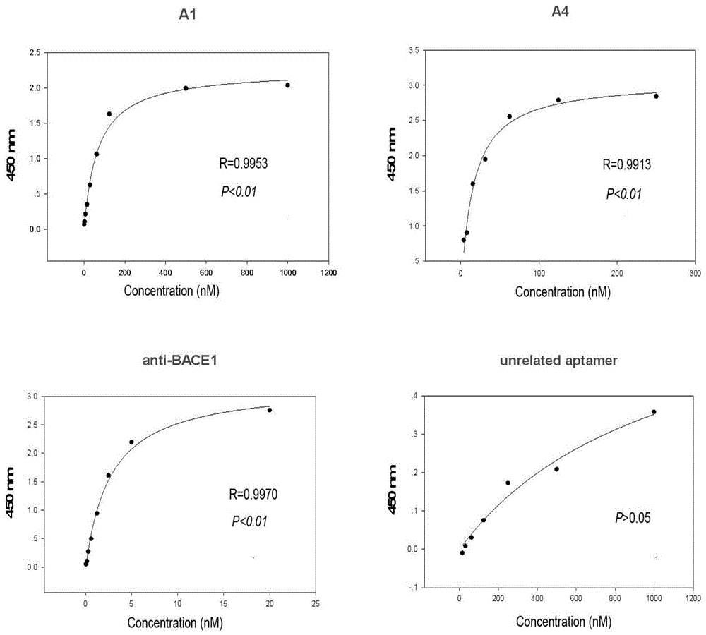 A nucleic acid aptamer specifically binding to β-amyloid precursor protein lyase 1 and its application