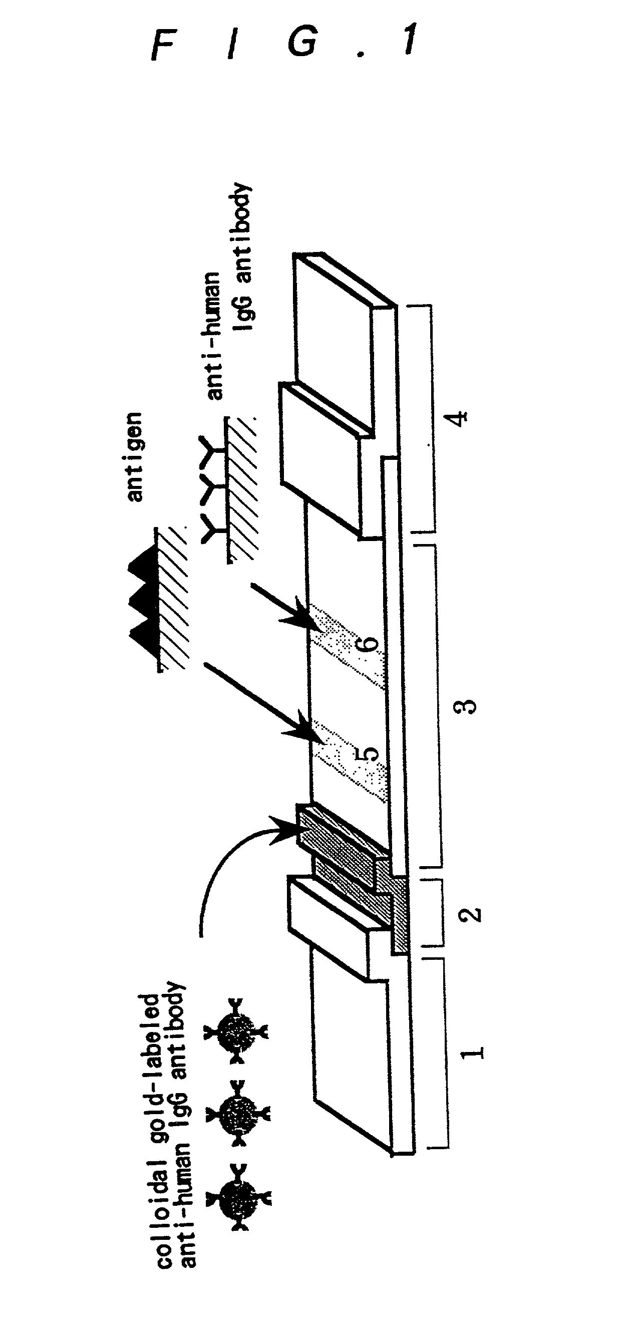 Method for assay of antibodies and antibody assay device