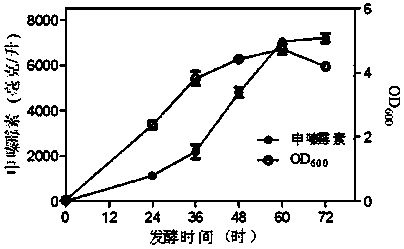 Genetically engineered strains for safe and efficient production of shenzamycin and its application