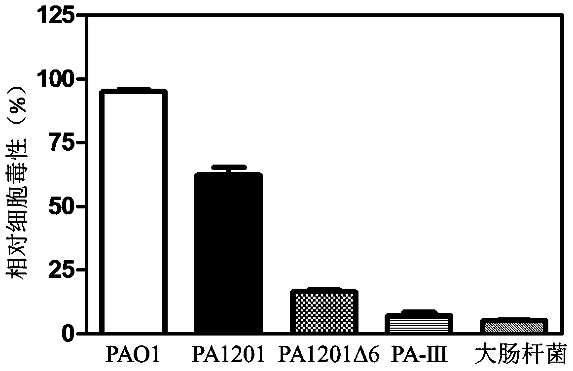 Genetically engineered strains for safe and efficient production of shenzamycin and its application