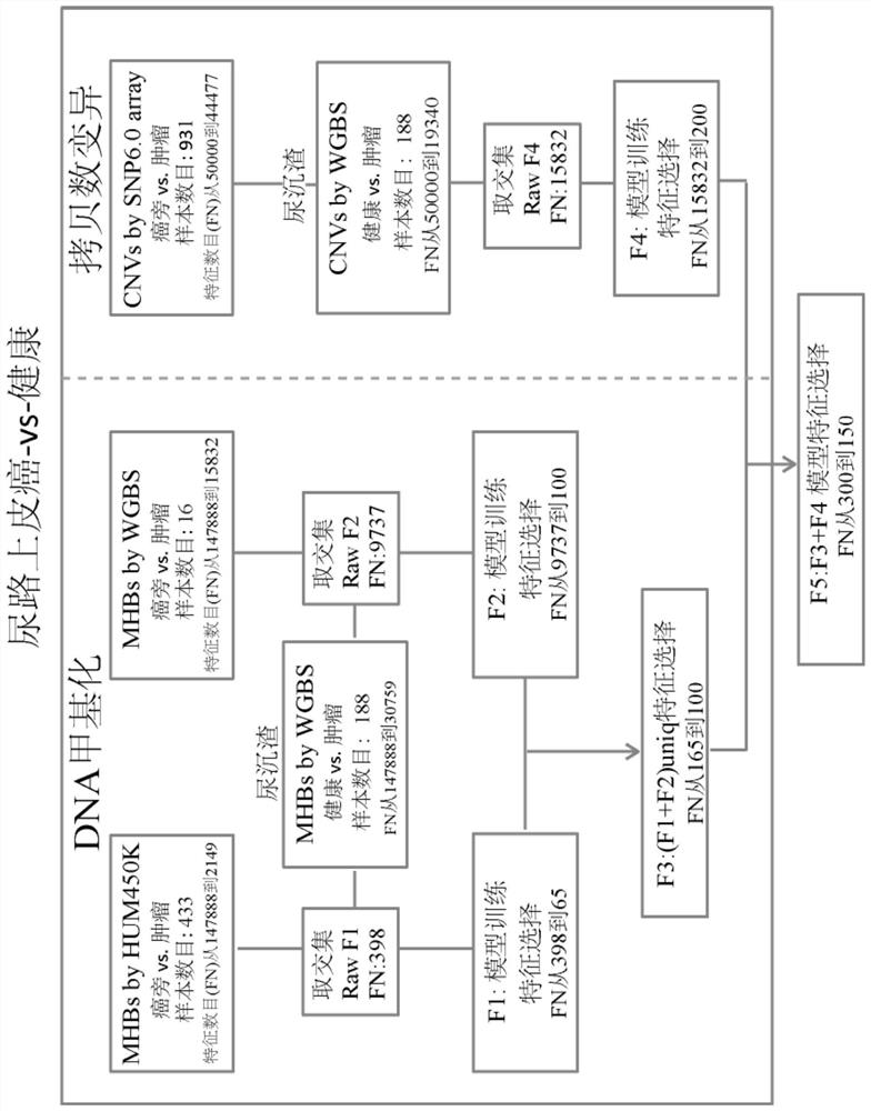 Urinary sediment genome DNA classification method and device and application