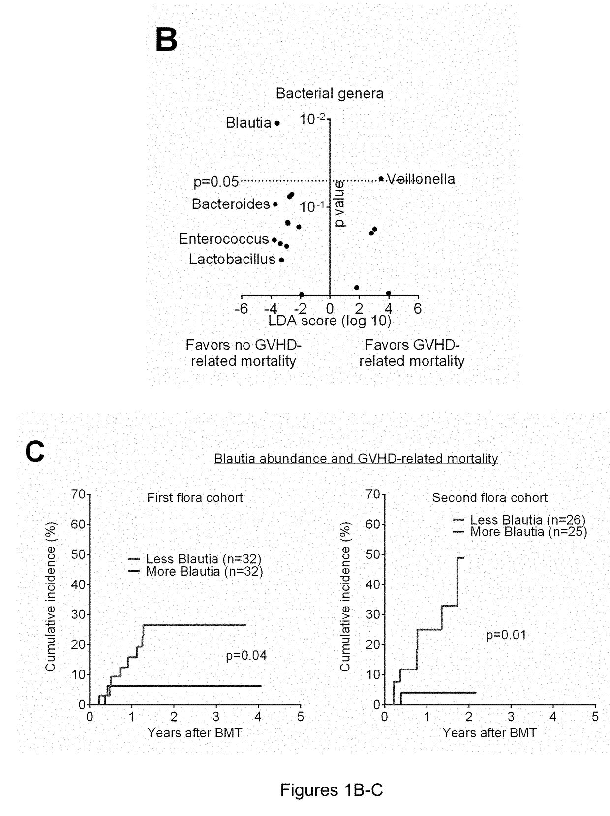 Intestinal microbiota and gvhd