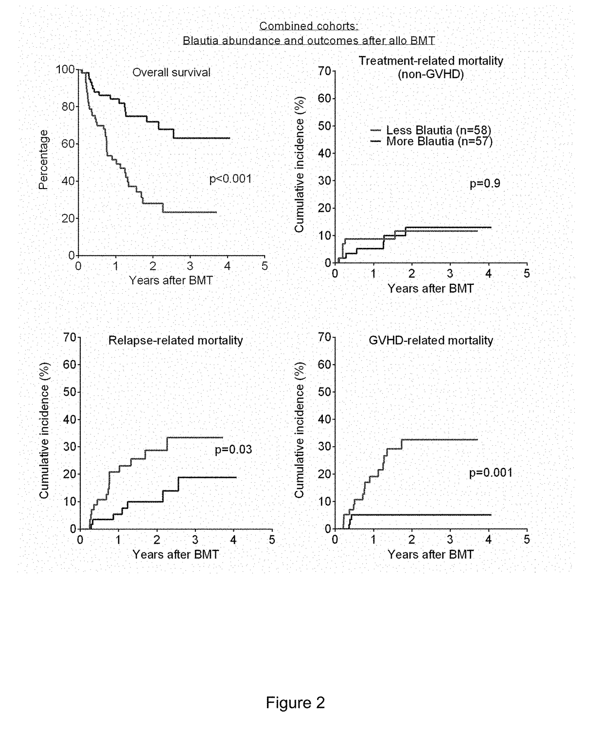 Intestinal microbiota and gvhd