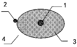 Novel tumor heat treatment equipment and control method thereof