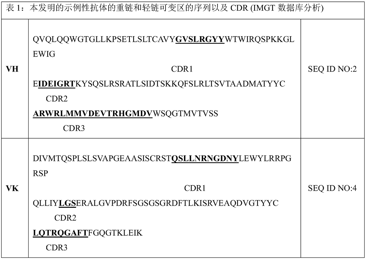 HIV-1 broadly neutralizing antibody and use thereof