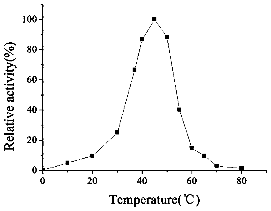 Beta-galactosidase galRBM20_1 and preparation method and application thereof