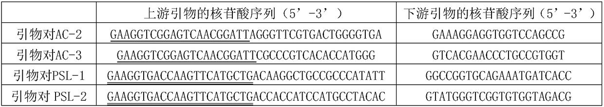 Method for detecting bacterial fruit blotch and xanthomonas malvacearum of melons simultaneously and special kit thereof