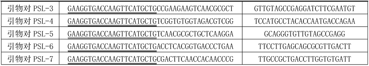 Method for detecting bacterial fruit blotch and xanthomonas malvacearum of melons simultaneously and special kit thereof