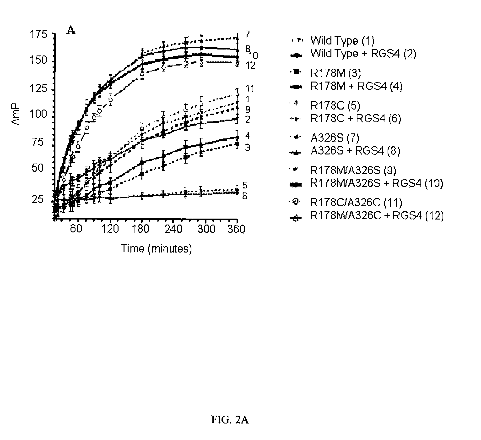 Genetically engineered g-alpha proteins and uses thereof