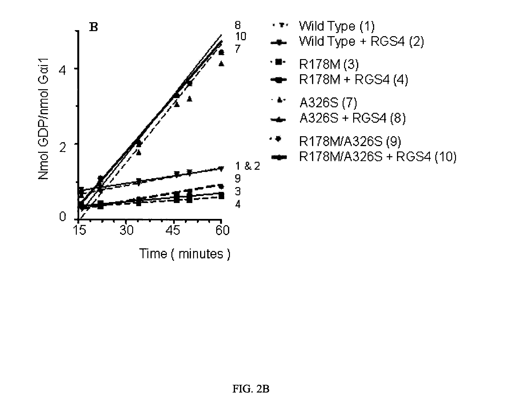 Genetically engineered g-alpha proteins and uses thereof