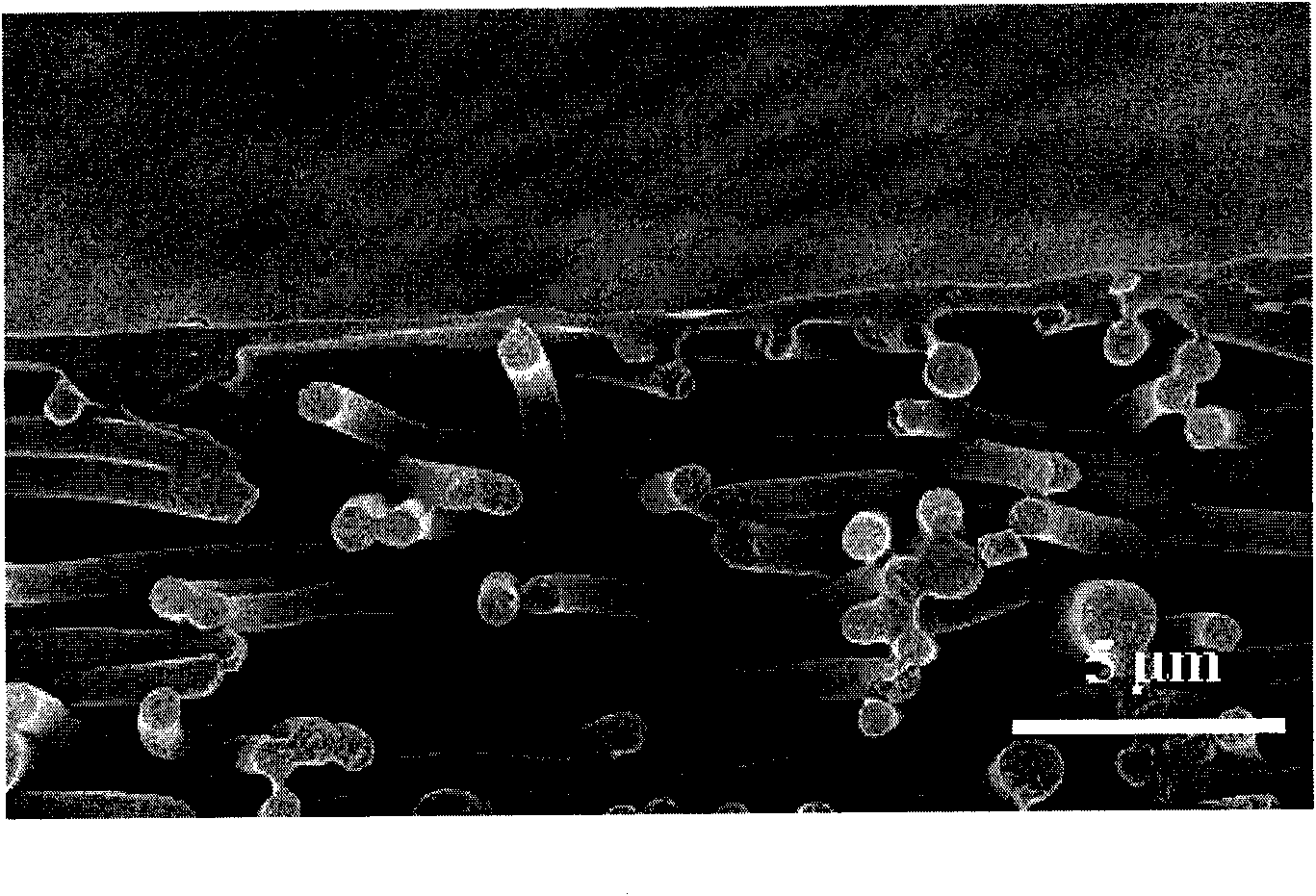 Nanometre-sized fibre liquid separation composite film and preparation method thereof