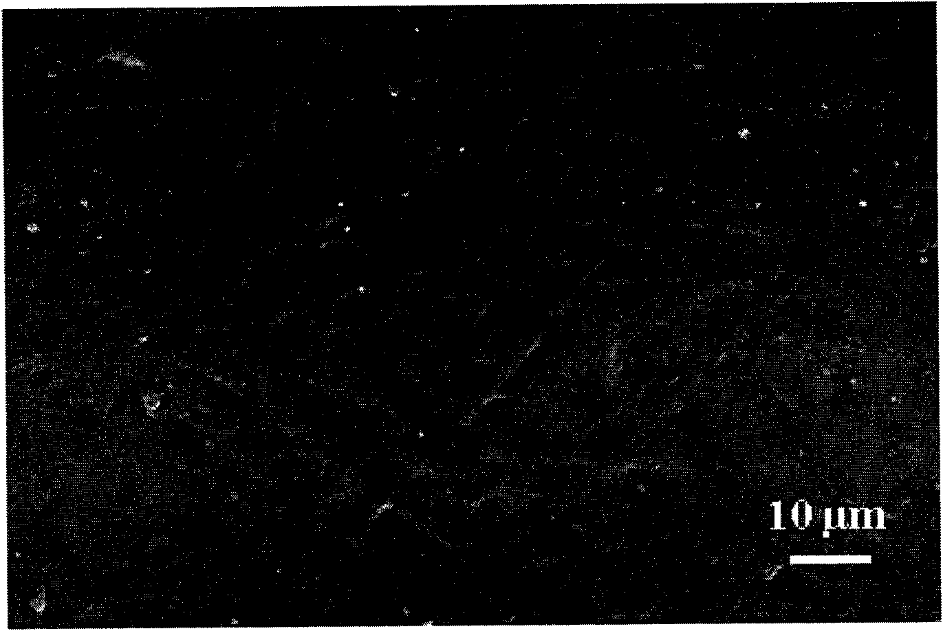 Nanometre-sized fibre liquid separation composite film and preparation method thereof