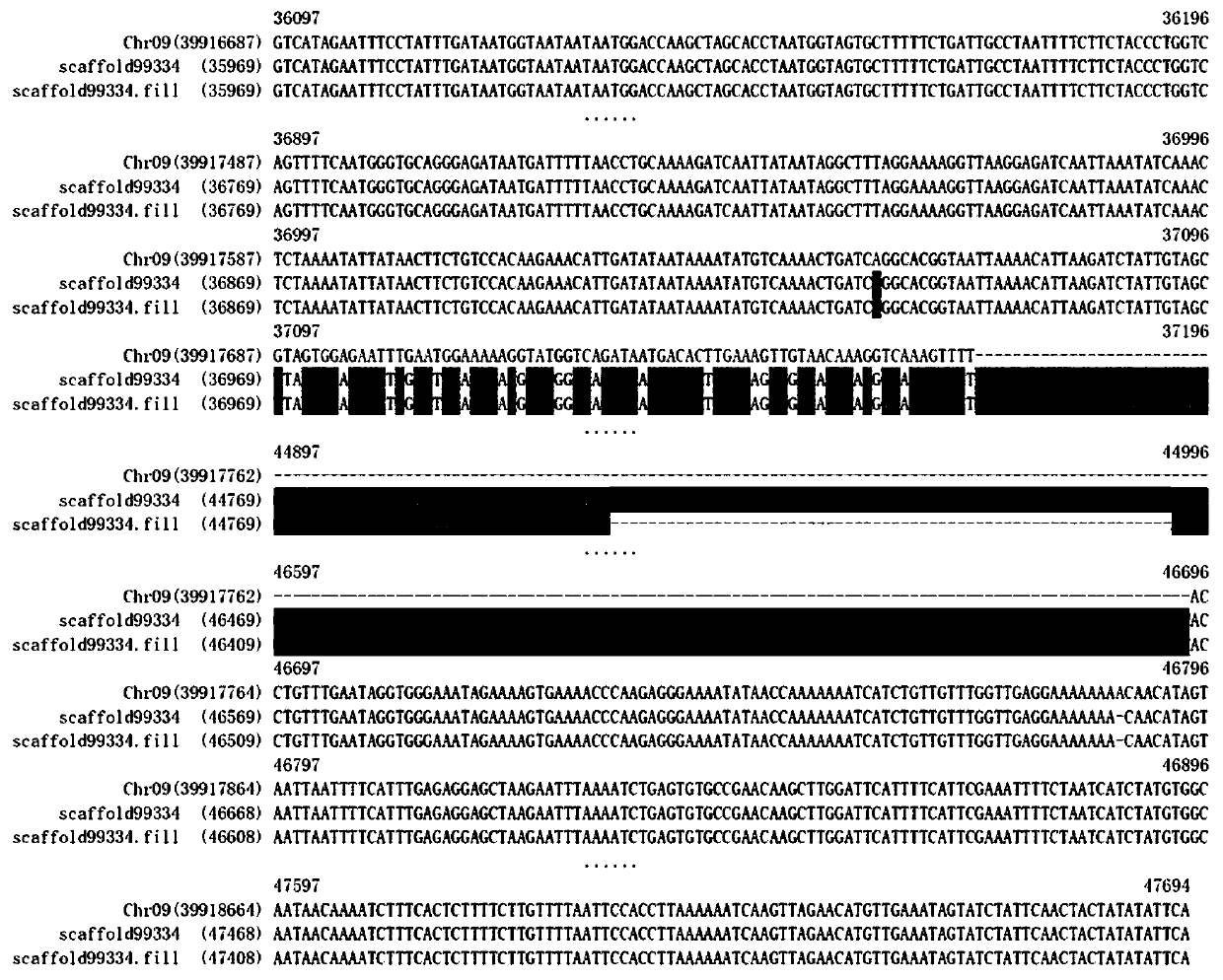 Method for determining the sequence, insertion position and marginal sequence of exogenous dna fragments in transgenic organisms