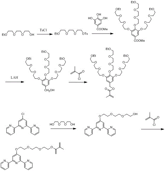 Intelligence branch polymer hydrogel and preparation method thereof