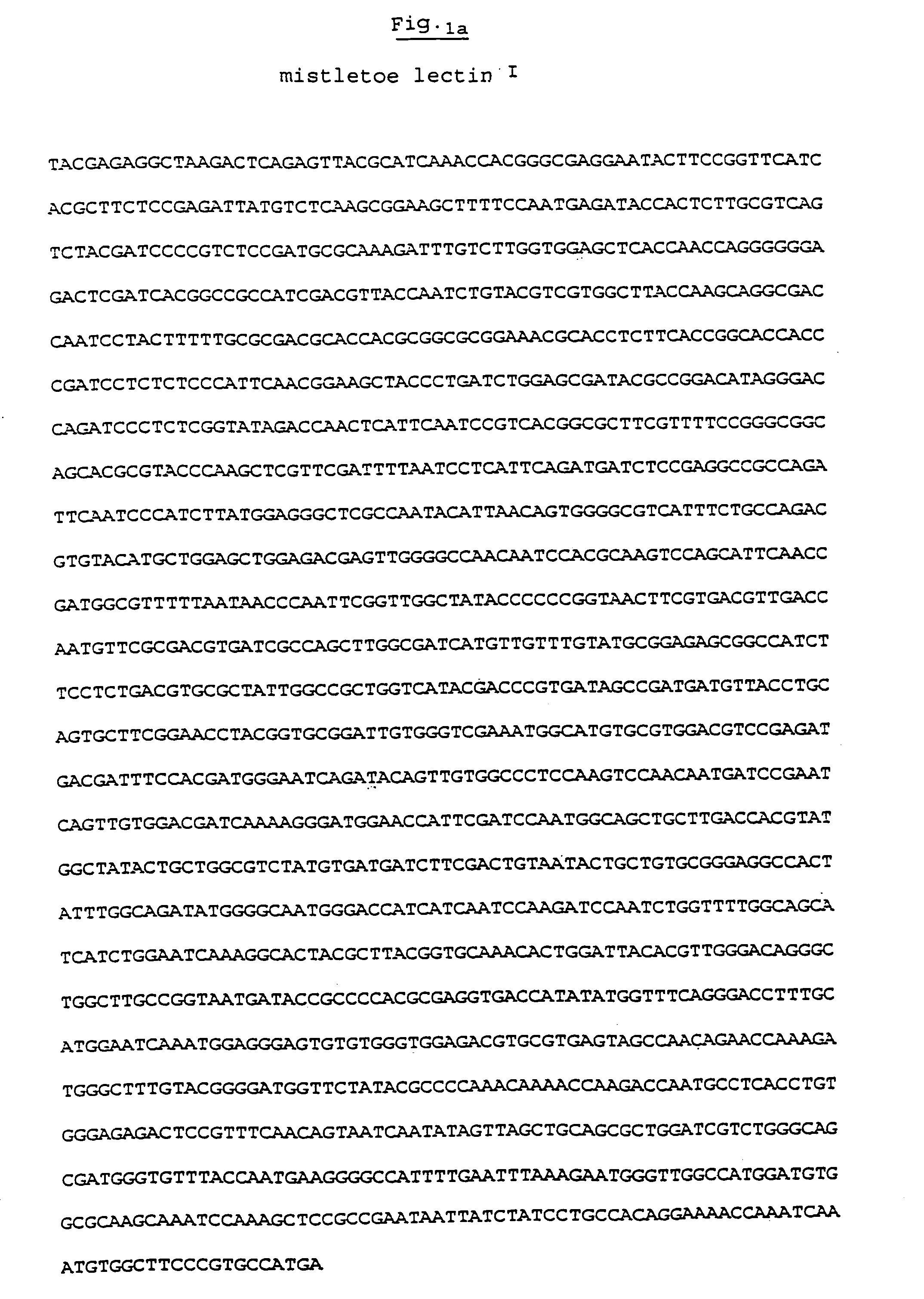 Recombinant mistletoe lectin