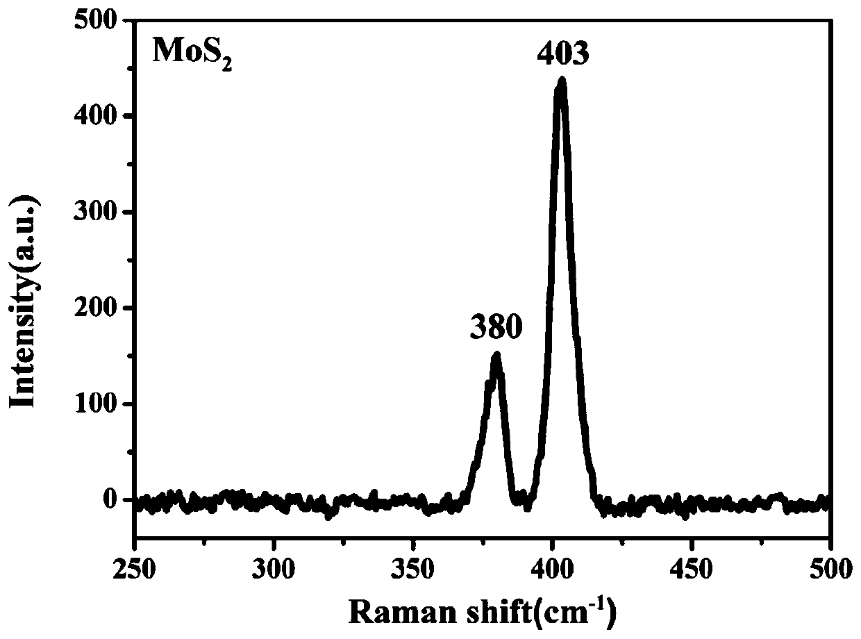 Photoelectric detector with two-dimensional transition metal sulfide film nanoscroll