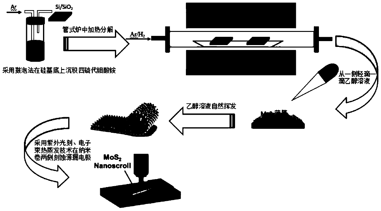 Photoelectric detector with two-dimensional transition metal sulfide film nanoscroll