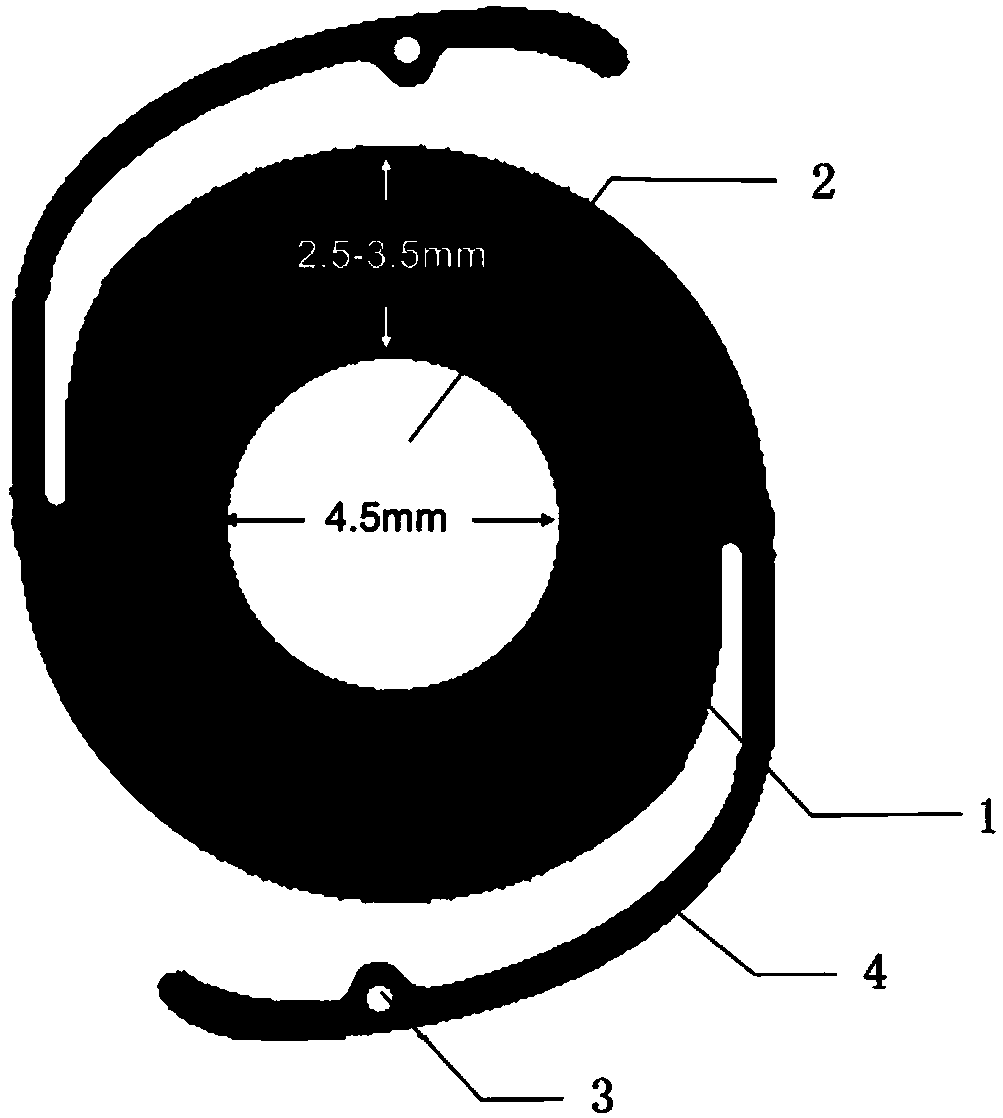 Foldable integrated artificial lens with brown iris diaphragm