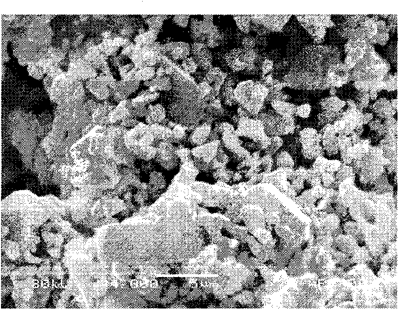 Storage battery anode lead plaster capable of enhancing SAE standard high temperature service life and preparation method