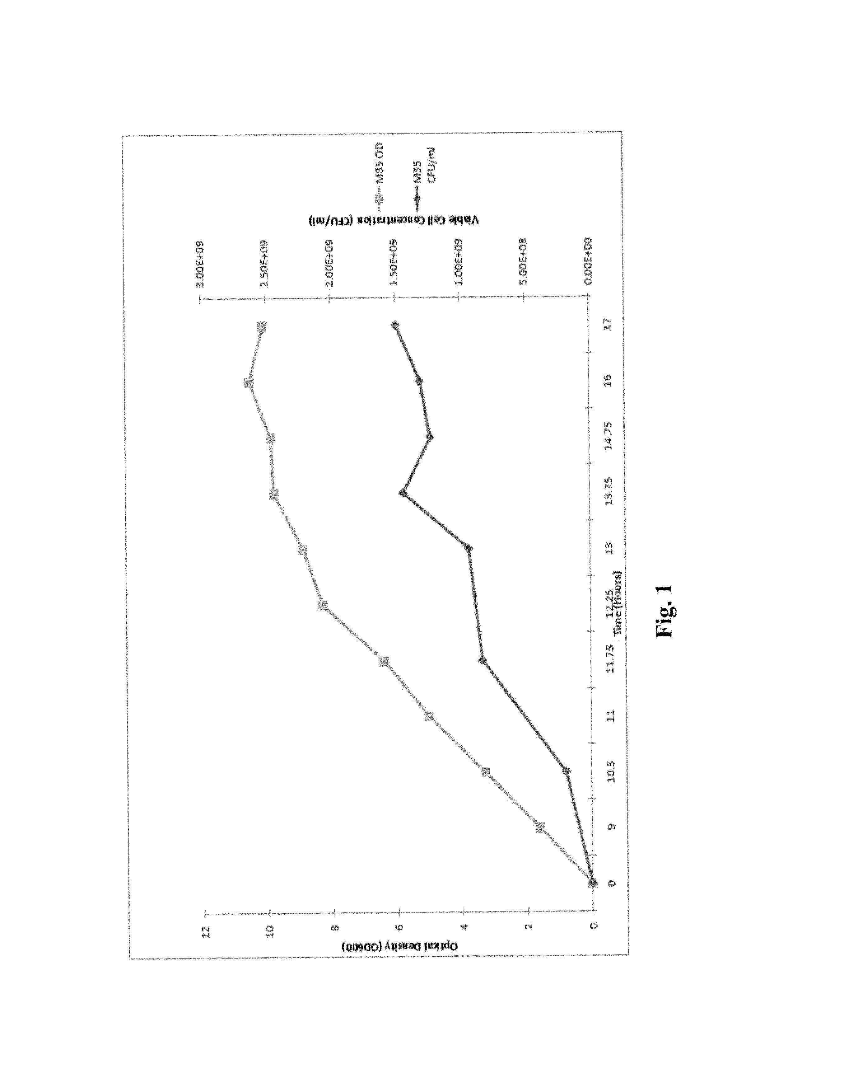 Process and composition for the manufacture of a microbial-based product